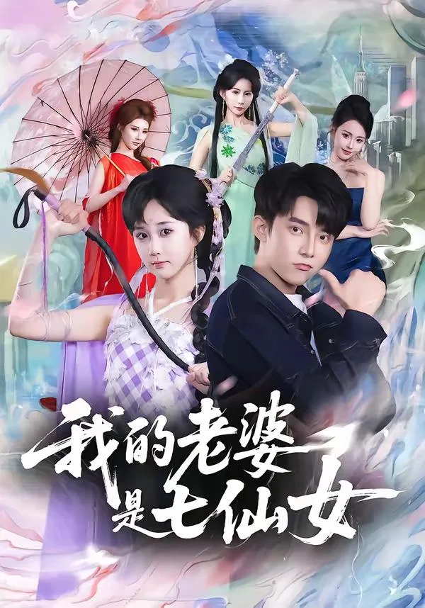 我的老婆是七仙女 海报