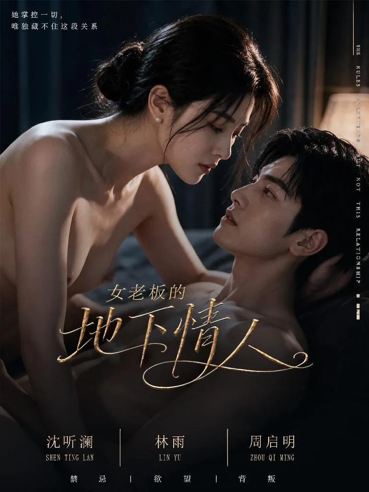 女老板的地下情人 海报