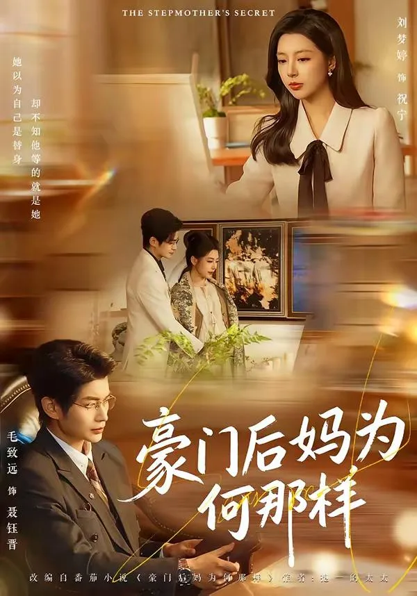豪门后妈为何那样 海报