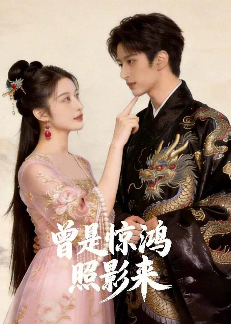 曾是惊鸿照影来 海报