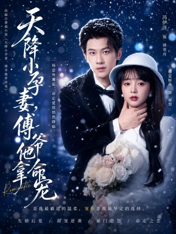 天降小孕妻 傅爷拿命宠爱苏小晚 上集 他们的日久生情故事太暖 AI短剧 海报