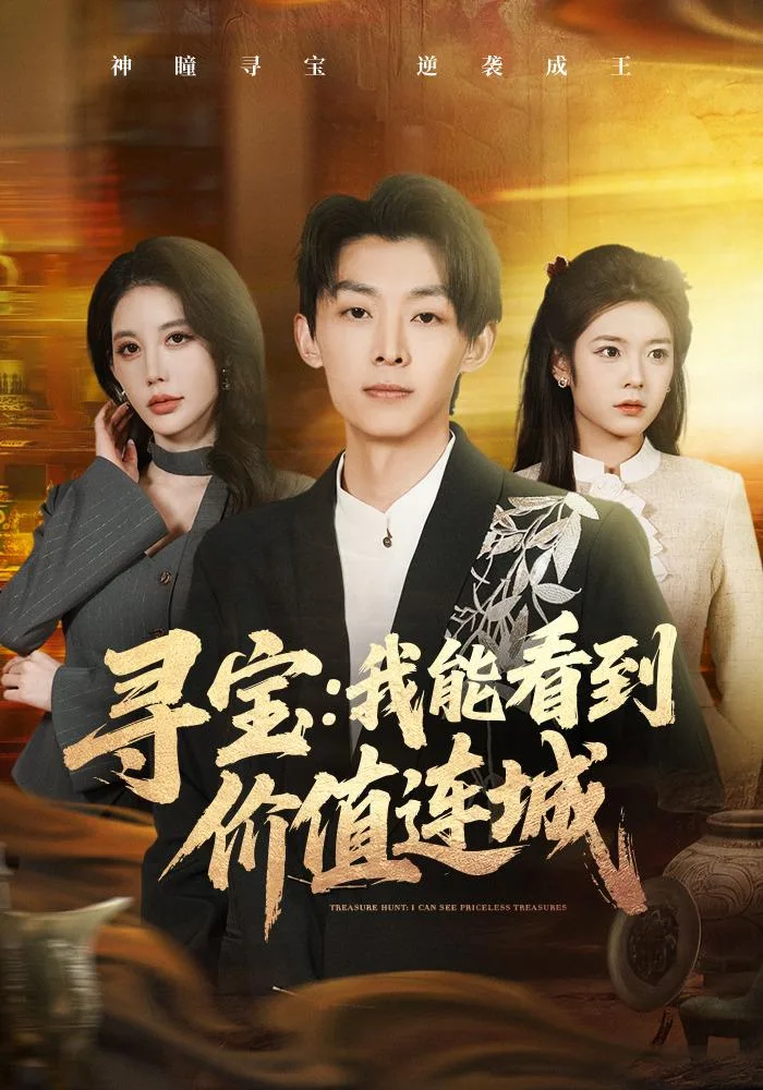 寻宝：我能看到价值连城 海报