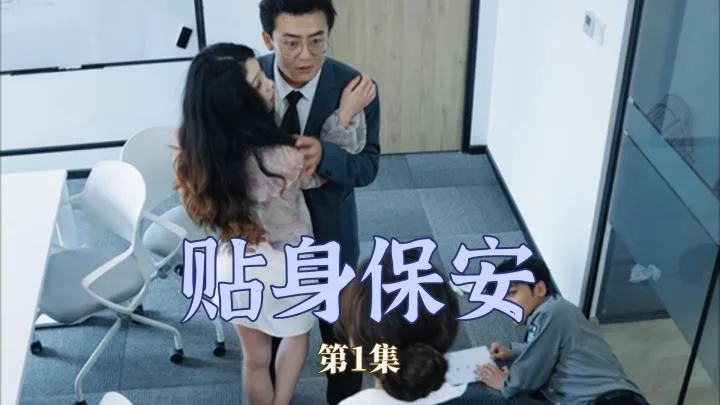 贴身保安 海报
