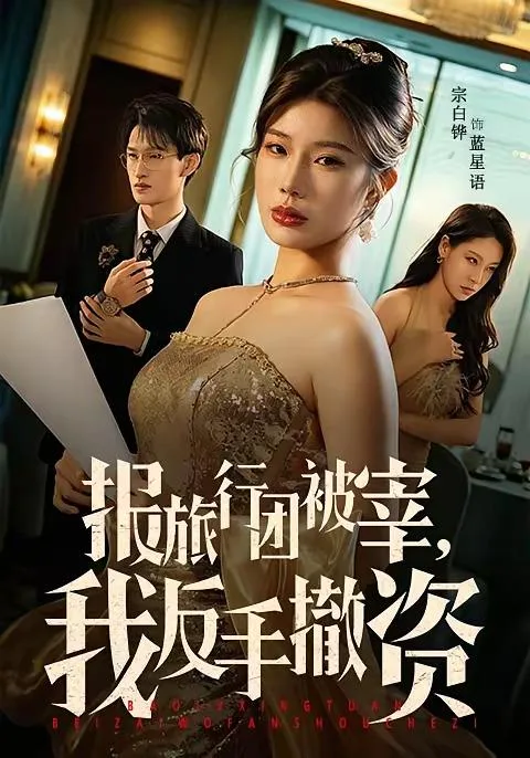 报旅行团被宰我反手撤资（全59集） 海报