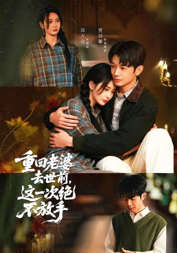 重回老婆去世前，这一次绝不放手 海报